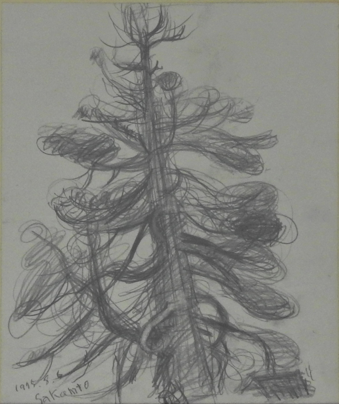 Sketch (Tree)