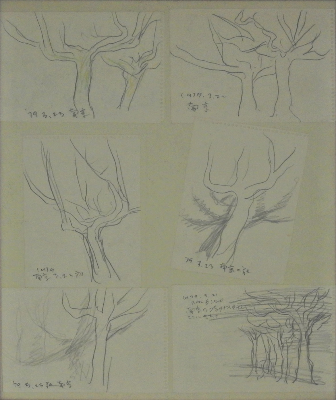 Sketch (Tree) 6 sheets set