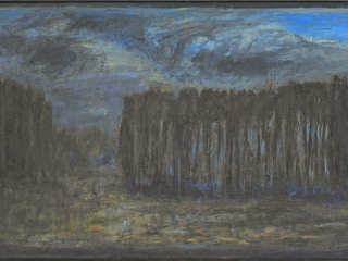 Cedar of racecourse (Winter)